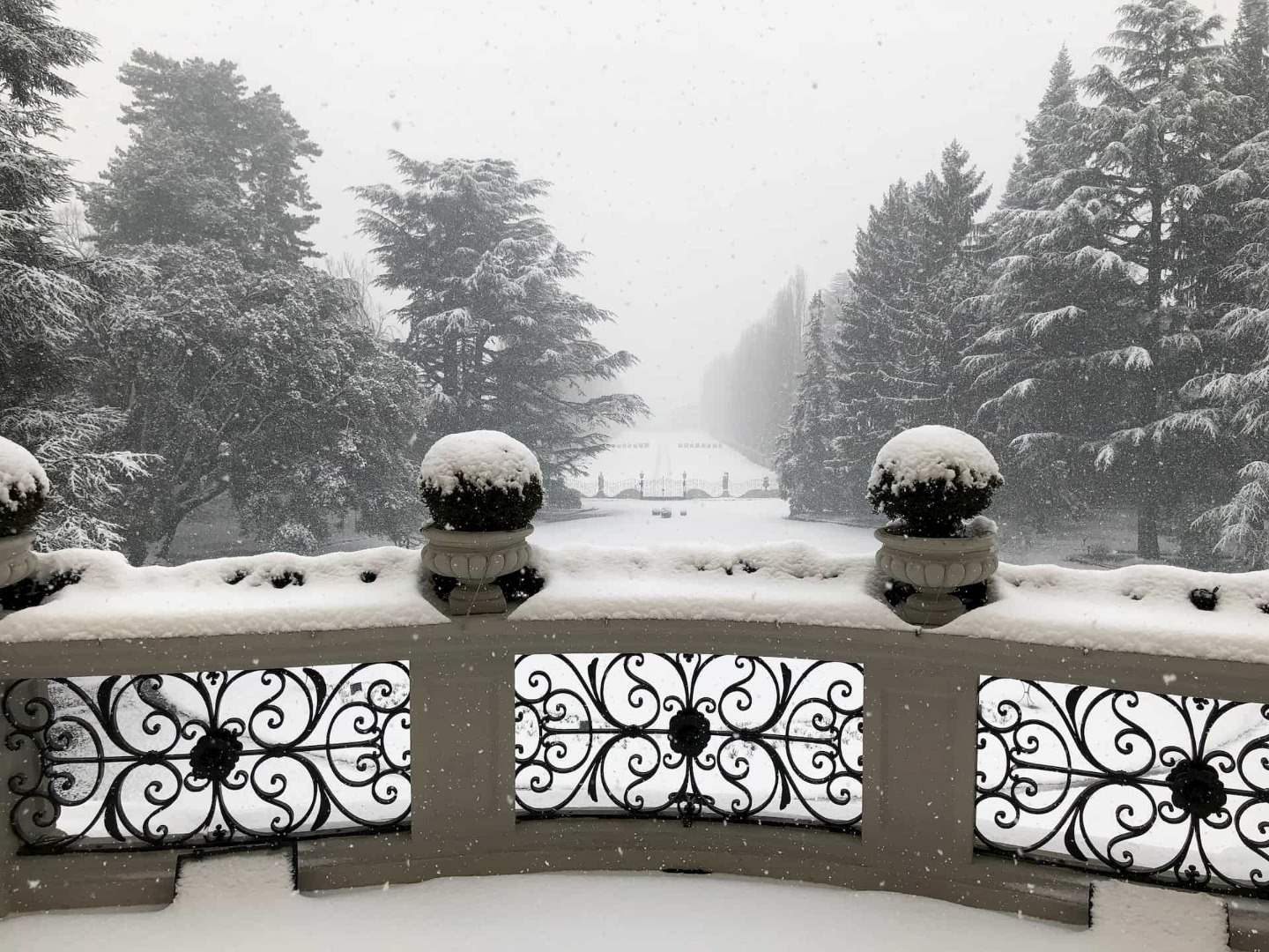 parco-matrimonio-in-inverno-villa-acquaroli