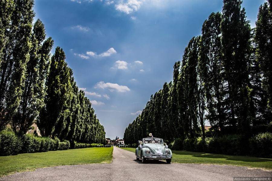 Il viale di ingresso di Villa Acquaroli, location per matrimoni e Bergamo